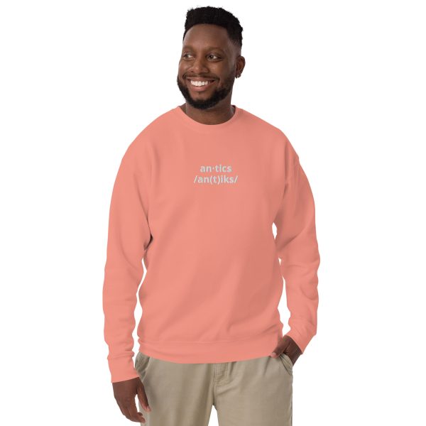 AN-TICS Unisex Premium Sweatshirt - Image 5